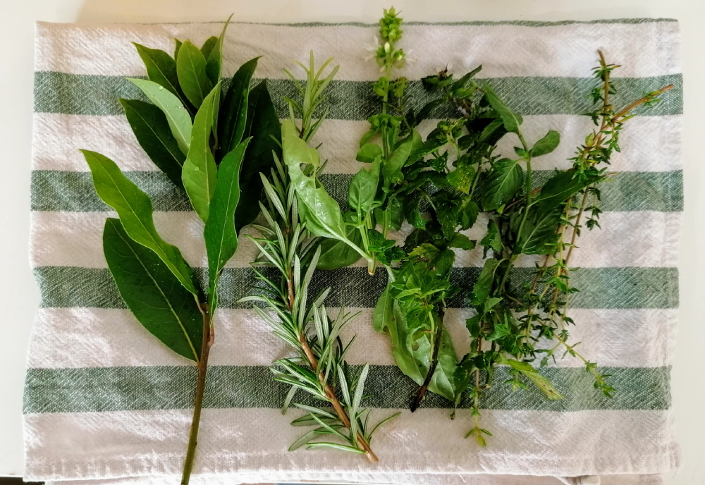 Ramas frescas de hierbas aromáticas como laurel, romero, albahaca, menta y tomillo